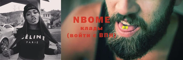 СК Алексин