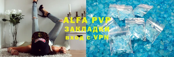 СК Алексин