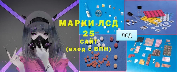 СК Алексин
