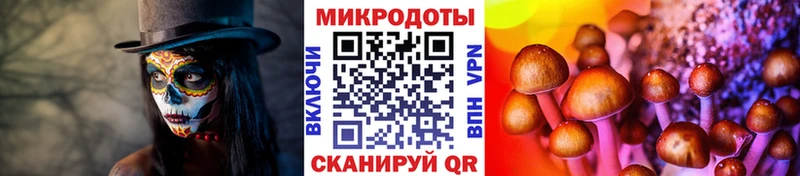 Галлюциногенные грибы ЛСД  сайты даркнета как зайти  Анапа  где продают наркотики 